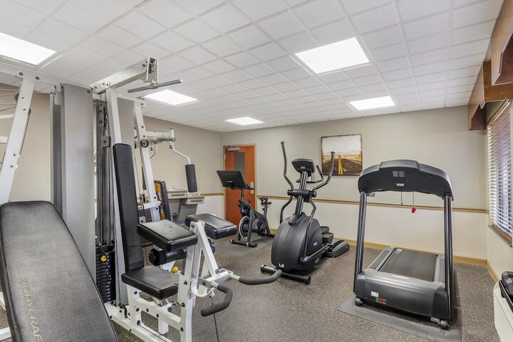 Gym & Fitness