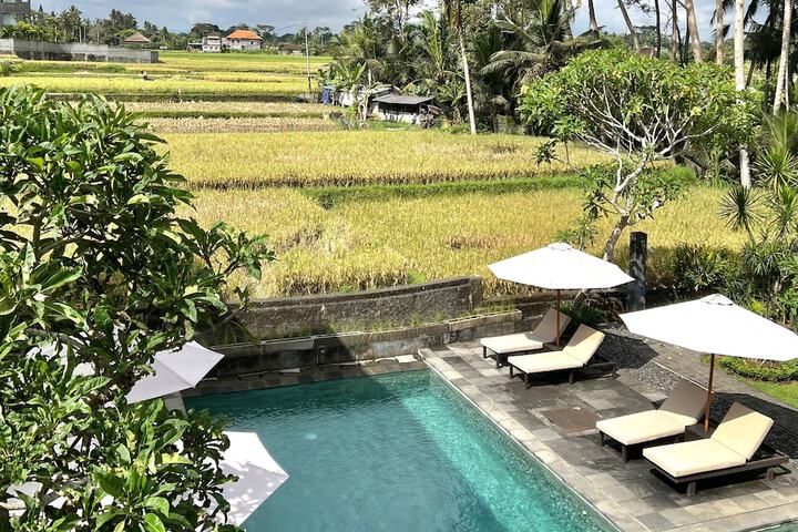Hotel 54 of 57