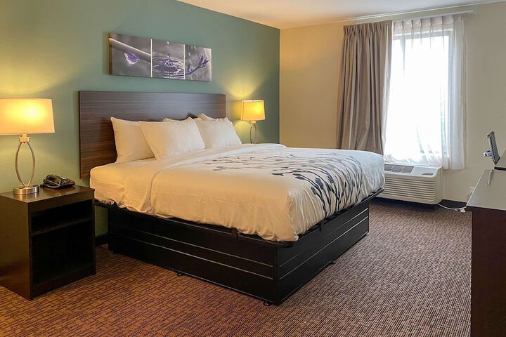 1 King Bed (6 of 9)