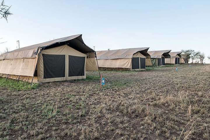 Serengeti Wildebeest Camp