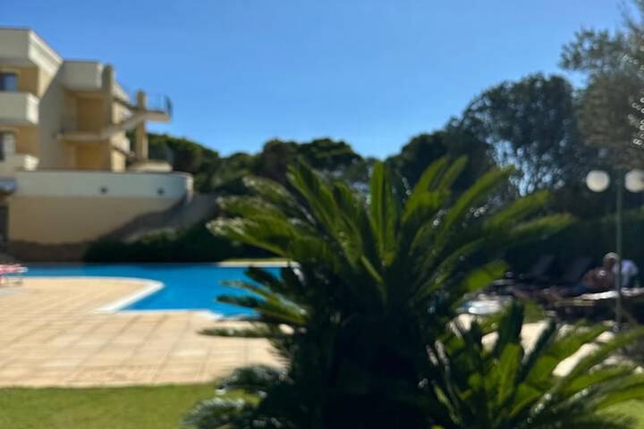 Hotel Pool
