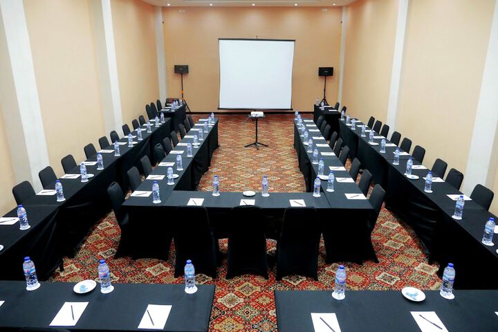 Meeting 25 of 29