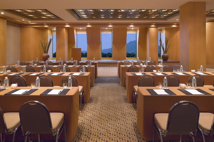 Meeting 4 of 91