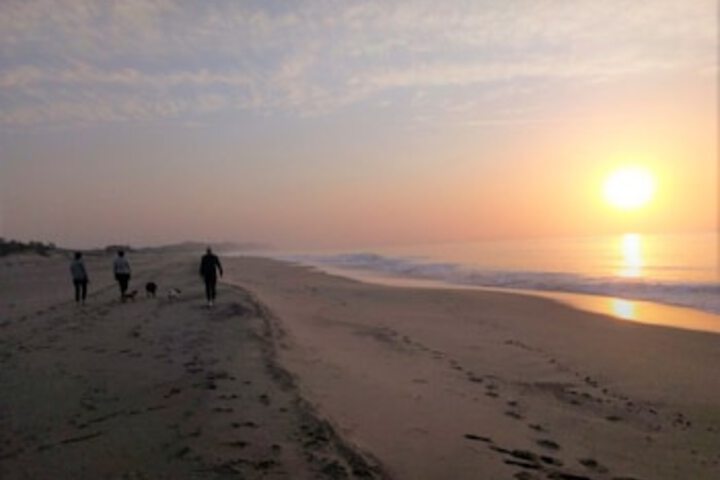 Beach 205 of 267