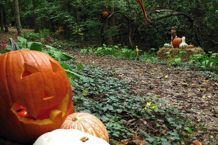 Property Grounds 44 of 79