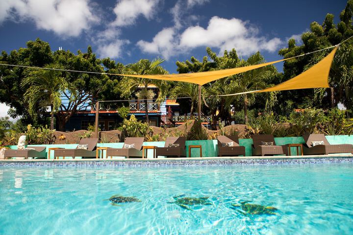 Pool 56 of 138