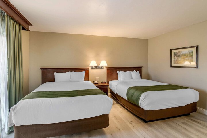 2 Queen Beds (5 of 17)