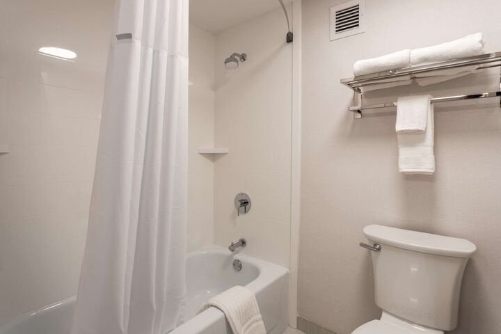 1 King Bed Suite (4 of 5)