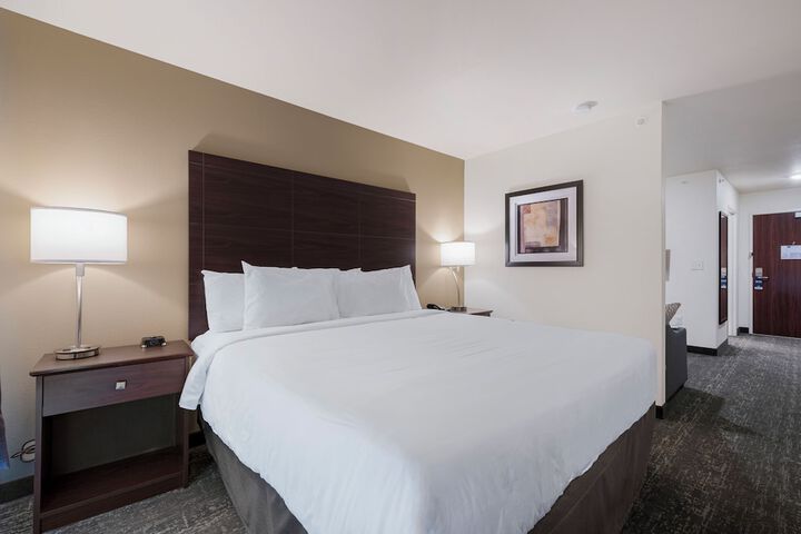 Guest Room Single King Bed Accessible (4 of 17)