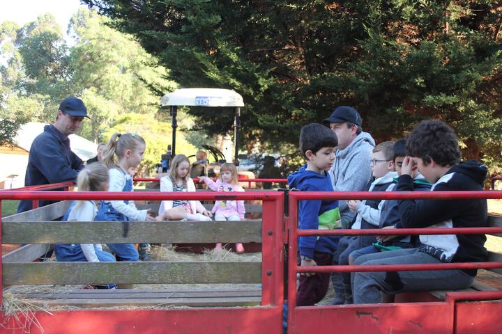 Childrens Activities 49 of 71