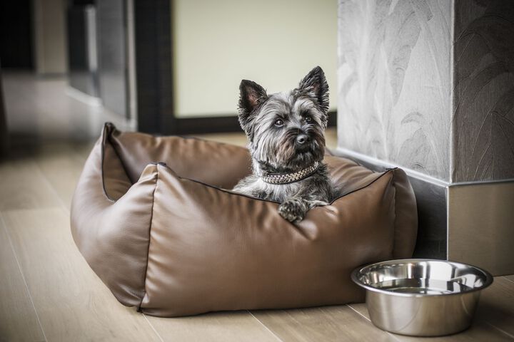 Pet Friendly 39 of 67