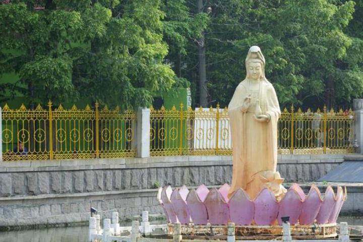 Photo 24