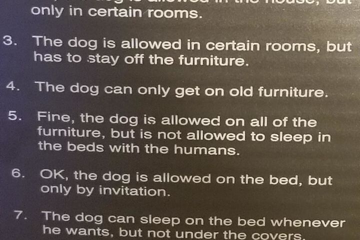 Pet Friendly 32 of 49