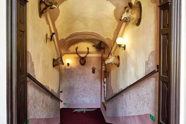 Guest Suite