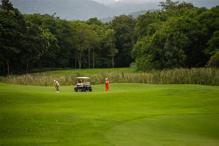 Golf 81 of 119
