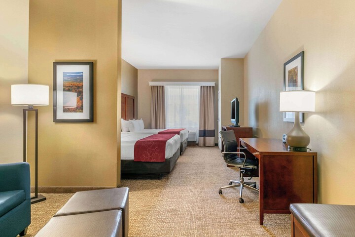 1 King Bed Suite (11 of 20)