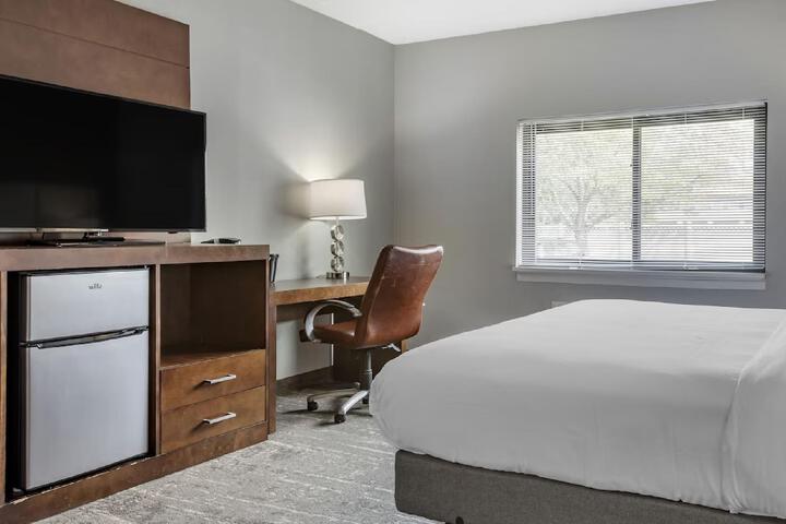 Deluxe Suite King (5 of 6)