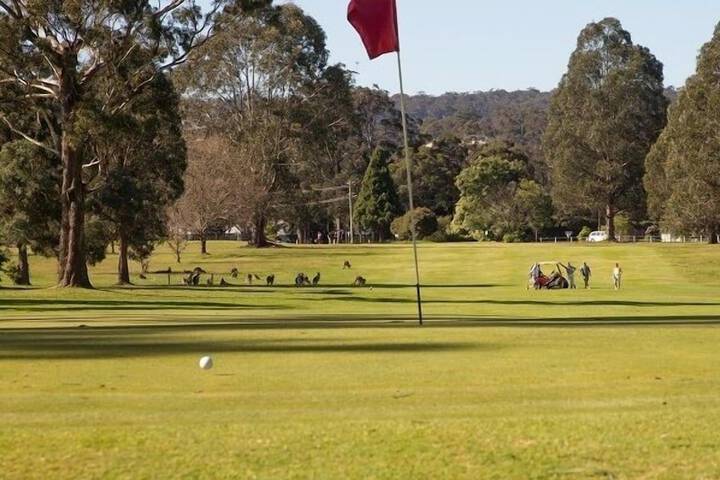 Golf 33 of 60