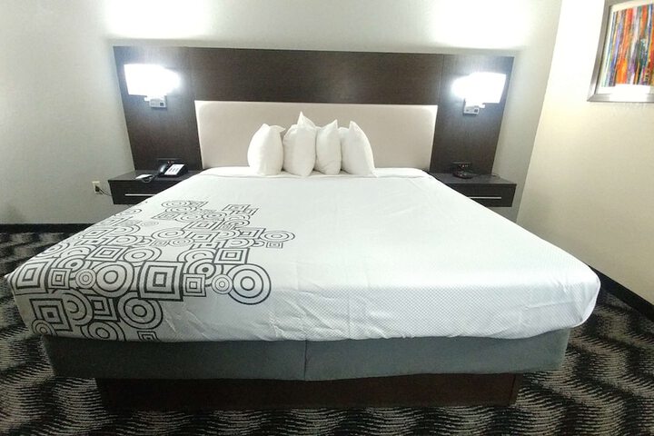 1 King Bed - Wireless High Speed Internet Accessible Microwave and Refrigerator, Coffee Mak (13 of 23)