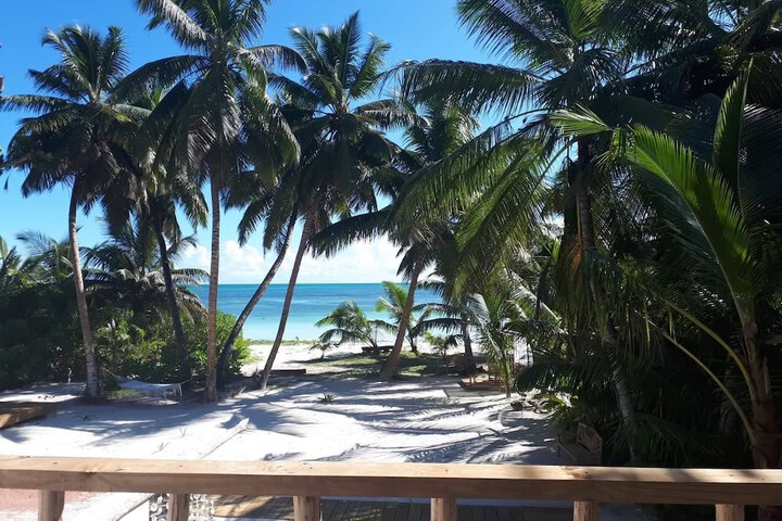 Beach 49 of 54
