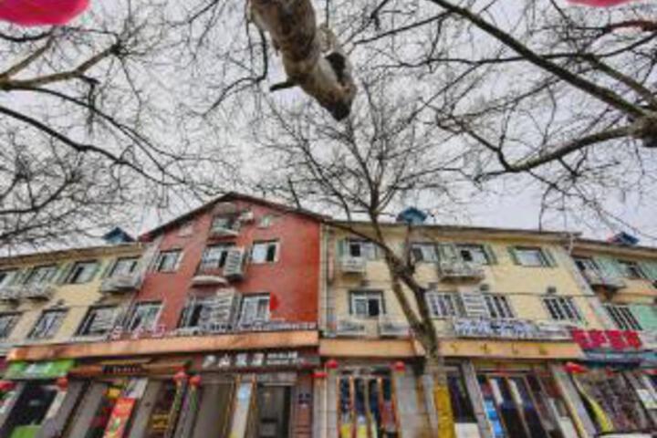 Lushan Hotel