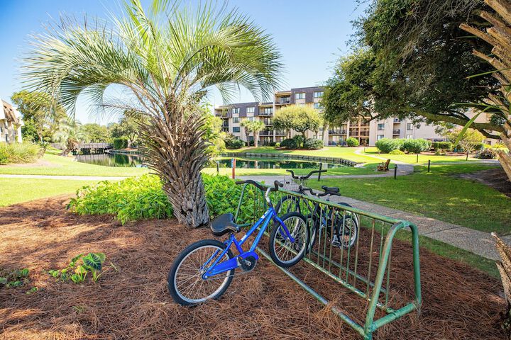 Outdoor Activities 35 of 61