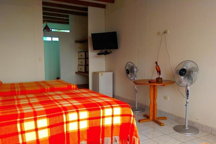 Room 3 of 47