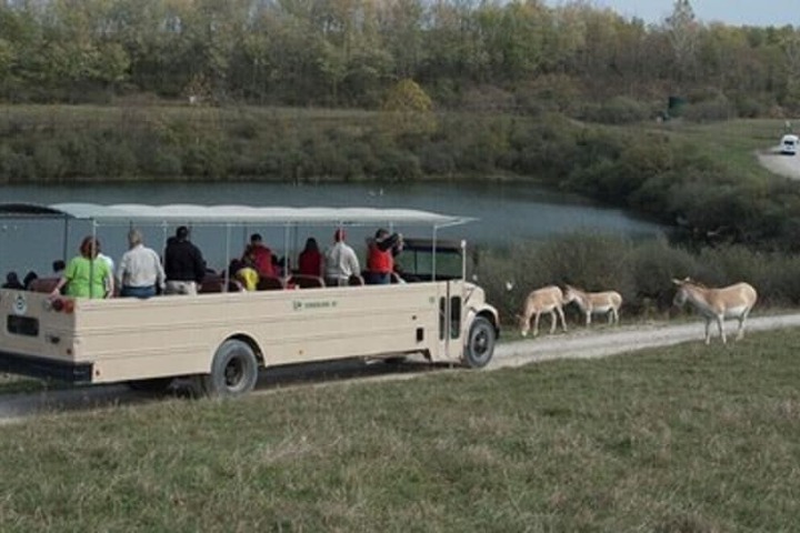 Ecotours