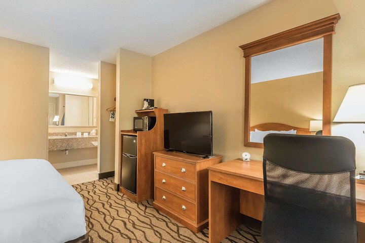 Standard | King Bed (3 of 12)