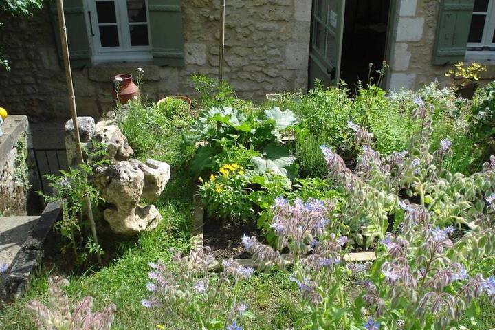 Photo 14