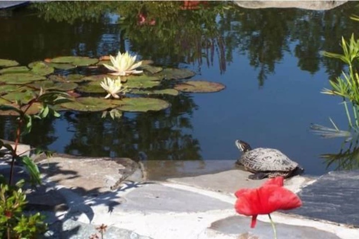 Property Grounds 47 of 58