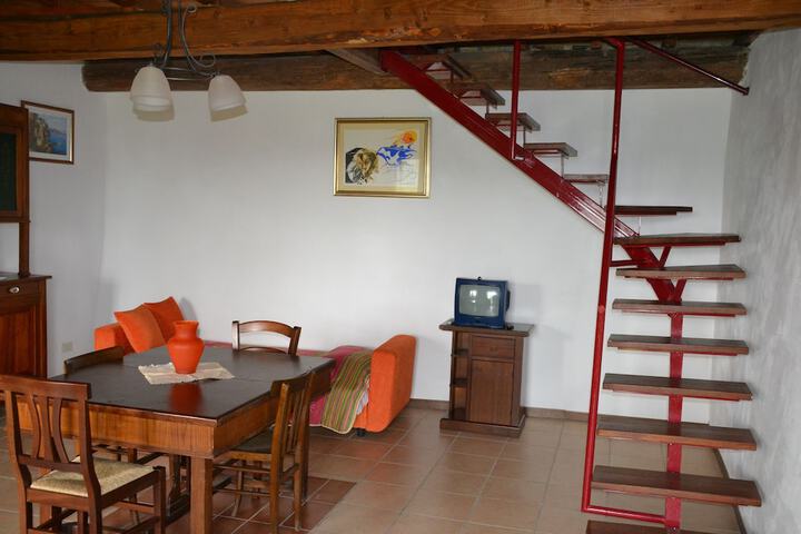 Room 20 of 41