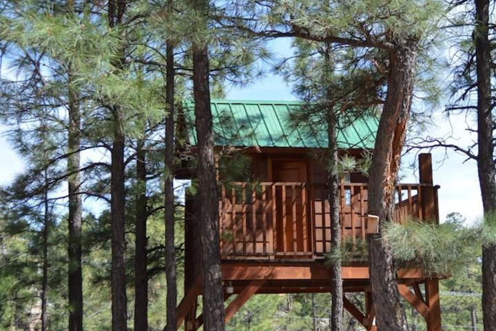 Property Grounds 22 of 26