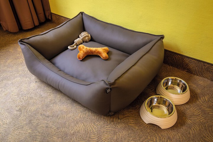 Pet Friendly 66 of 118