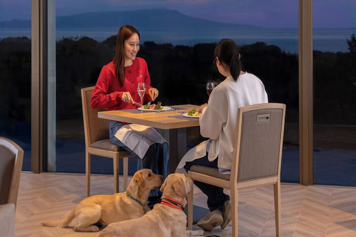 Dining 62 of 72