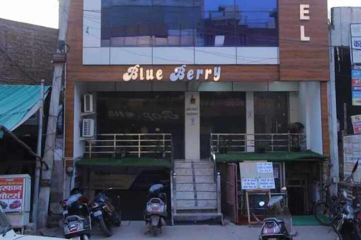Hotel Blue Berry Agra