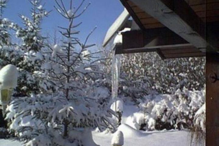 General 12 of 22