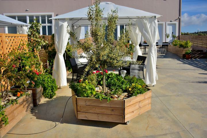 Terrace/Patio 38 of 44