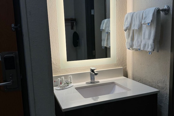 1 King Bed Mobility Accessible Bathtub with Grab Bars (15 of 22)
