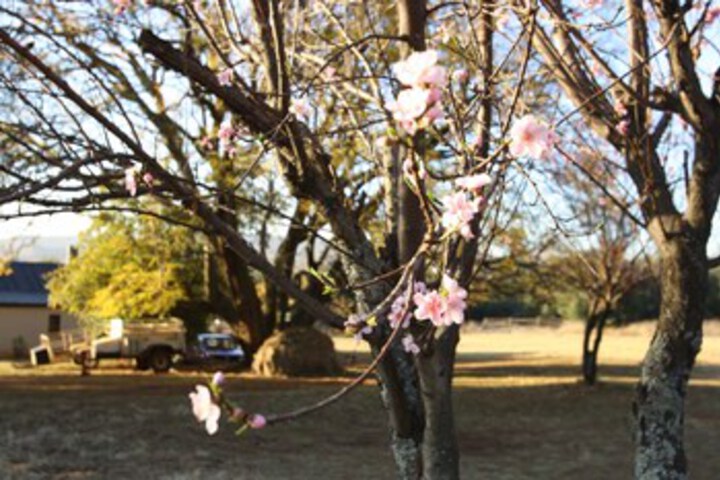 Hotel Exterior 7 of 22