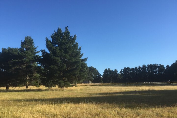 Property Grounds 26 of 33