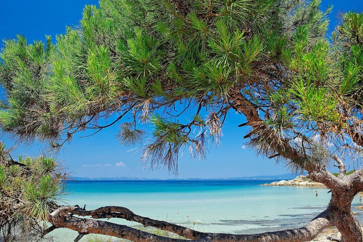 Beach 518 of 611