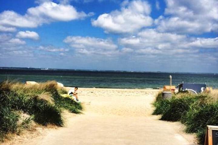 Beach 159 of 187