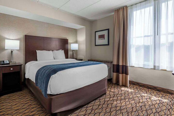 Suite Queen Bed (1 of 4)
