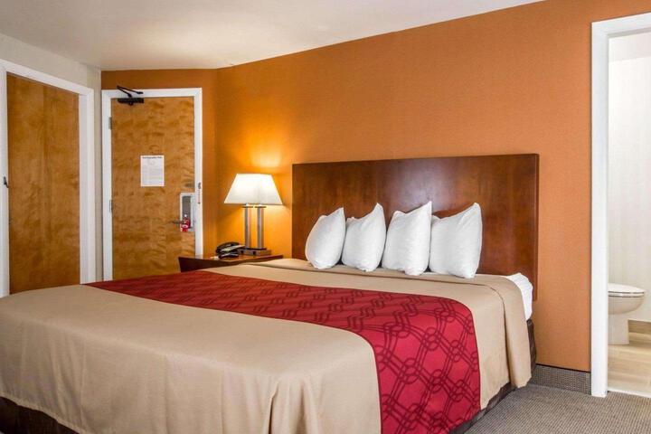 1 King Bed (7 of 9)