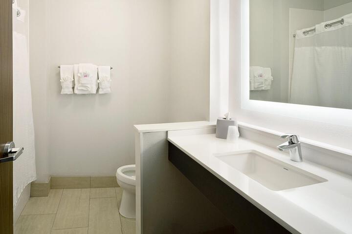 1 King Bed Standard Pet Friendly (3 of 9)