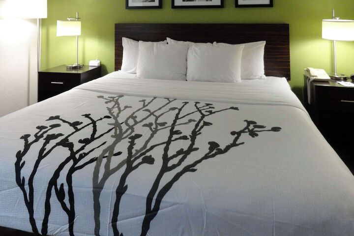 1 King Bed (1 of 2)