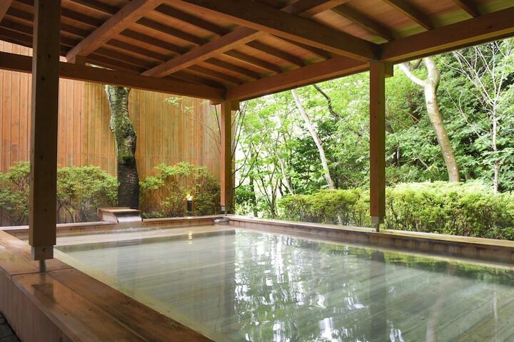 Wellness Treatments