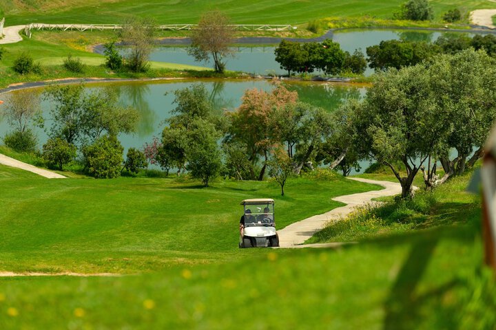 Golf 80 of 124