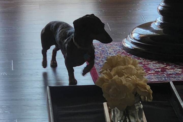 Childrens Activities 87 of 109